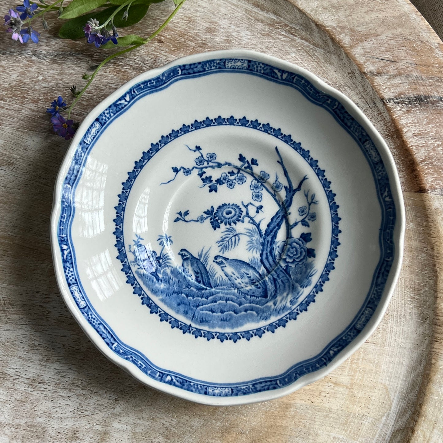 Mason's Quail Blue & White Tea Cup and Saucer