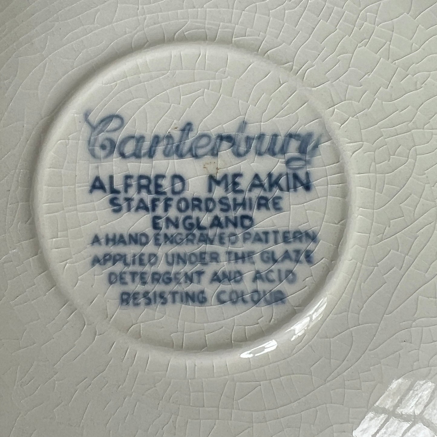 Canterbury Floral Tea Cup and Saucer